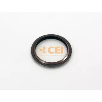 Bague d'étanchéité, différentiel C.E.I.