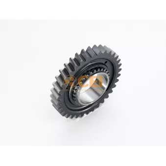 Pignon, marche arrière (pignon de retour) C.E.I.