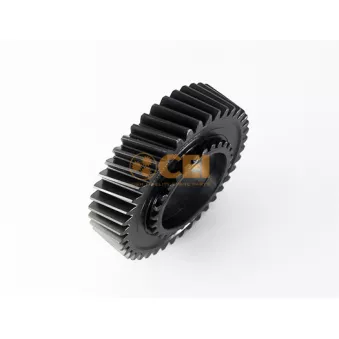 Roue dentée, arbre principal C.E.I.