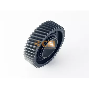 Roue dentée, arbre principal C.E.I.