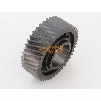 Roue dentée, arbre principal C.E.I.