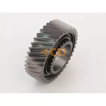 Roue dentée, arbre principal C.E.I.