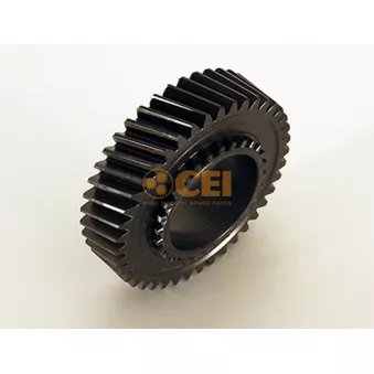 Roue dentée, arbre principal C.E.I. 244.354