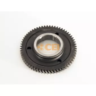 Roue dentée, arbre principal C.E.I.