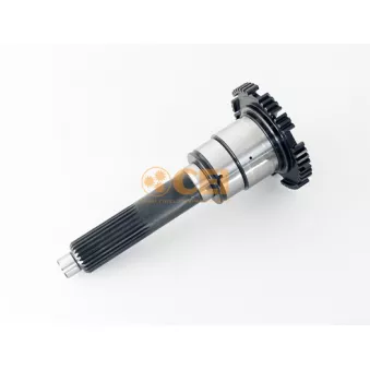 Arbre d'entraînement, boîte manuelle C.E.I.