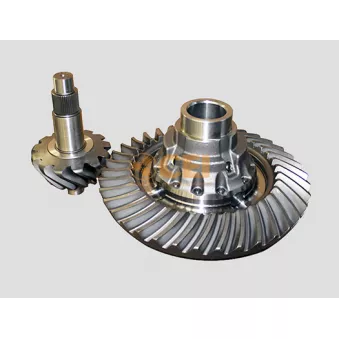 Couple conique/set pignons coniques C.E.I.