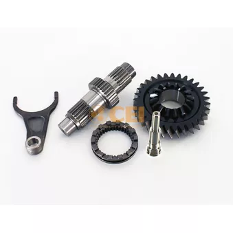 Kit de réparation, différentiel C.E.I.