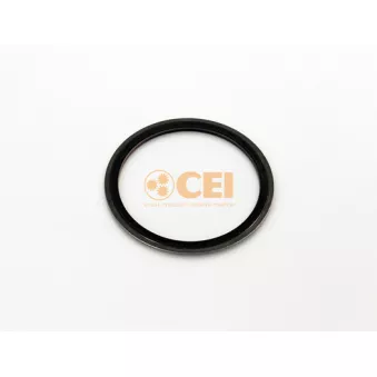 Bague d'étanchéité, différentiel C.E.I.