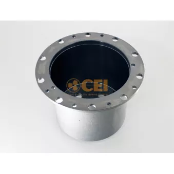 Porte planétaire C.E.I.