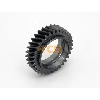 Roue dentée, arbre principal C.E.I.