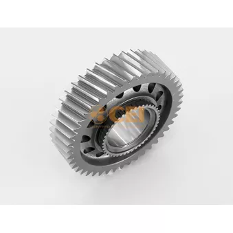 Roue dentée, arbre principal C.E.I.