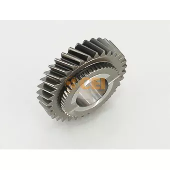 Roue dentée, arbre principal C.E.I.