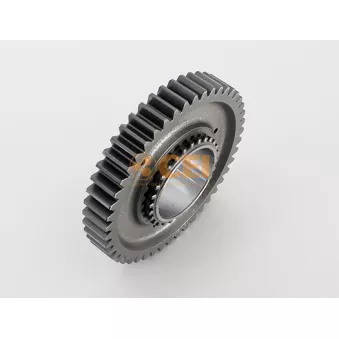 Roue dentée, arbre principal C.E.I.