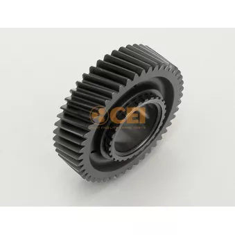 Roue dentée, arbre principal C.E.I.