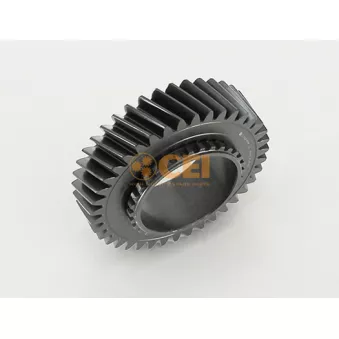 Roue dentée, arbre principal C.E.I.