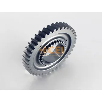 Roue dentée, arbre principal C.E.I.