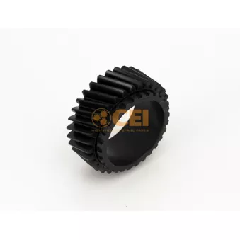 Roue dentée, arbre principal C.E.I.