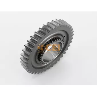 Roue dentée, arbre principal C.E.I. 145.788