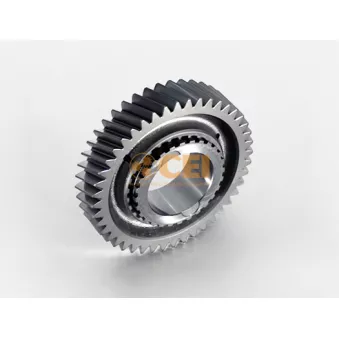 Roue dentée, arbre principal C.E.I.