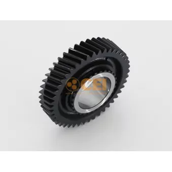 Roue dentée, arbre principal C.E.I.