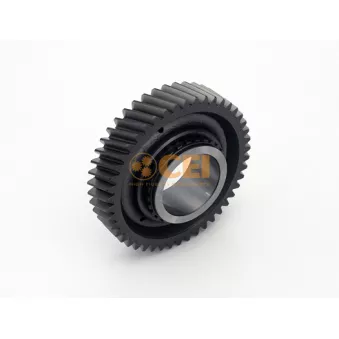 Roue dentée, arbre principal C.E.I.