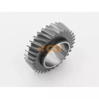 Roue dentée, arbre principal C.E.I.