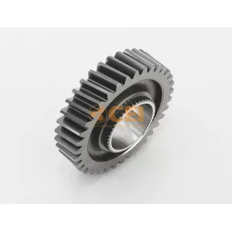 Roue dentée, arbre principal C.E.I.