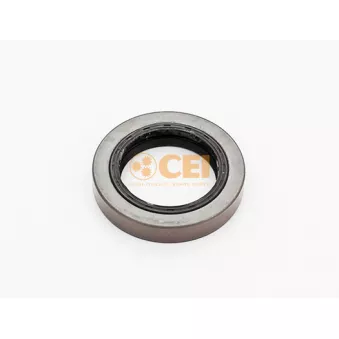 Bague d'étanchéité, différentiel C.E.I.