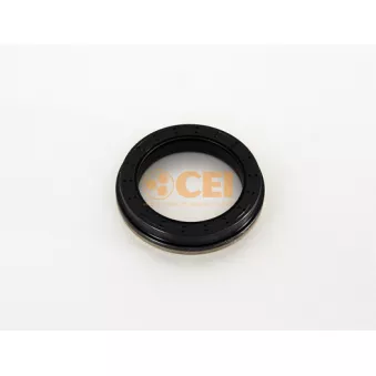 Bague d'étanchéité, différentiel C.E.I.