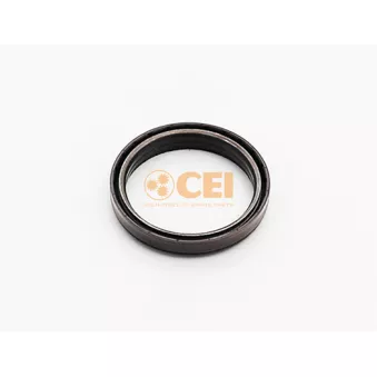 Bague d'étanchéité, différentiel C.E.I.