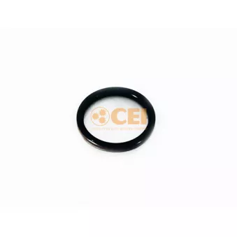 Bague d'étanchéité, boîte de vitesse manuel C.E.I.