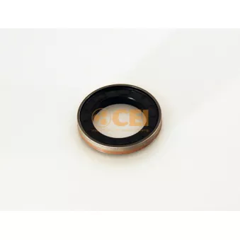 Bague d'étanchéité, différentiel C.E.I.