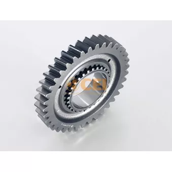 Roue dentée, arbre principal C.E.I. 145.988