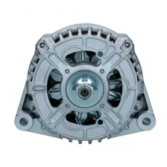 Alternateur BV PSH 566.502.110.311