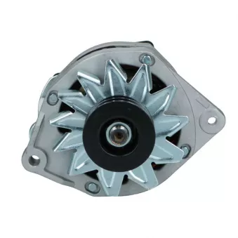 Alternateur BV PSH 576.007.060.008