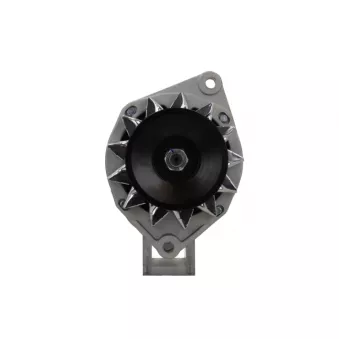 Alternateur BV PSH 576.007.060.000