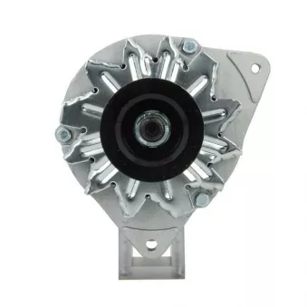 Alternateur BV PSH 596.002.030.100