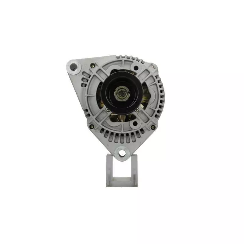 Alternateur BV PSH 555.502.090.010