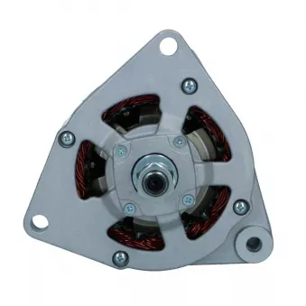 Alternateur BV PSH 555.021.055.018