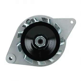 Alternateur BV PSH 555.001.033.098