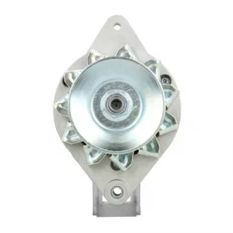 Alternateur BV PSH 555.001.033.311