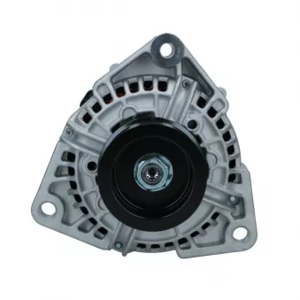 Alternateur BV PSH 556.501.080.019