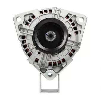 Alternateur BV PSH 556.501.100.014