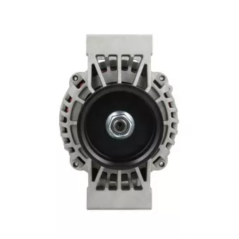 Alternateur BV PSH 556.519.100.030