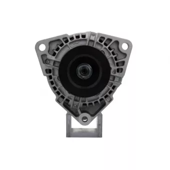 Alternateur BV PSH 556.524.080.014