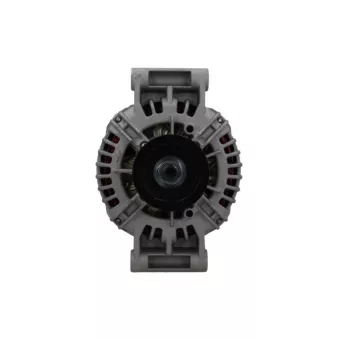 Alternateur BV PSH 556.532.100.014