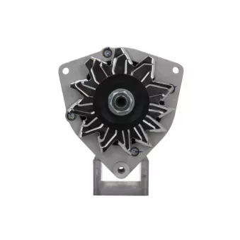 Alternateur BV PSH 565.003.080.090