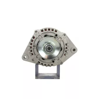 Alternateur BV PSH 555.999.095.311