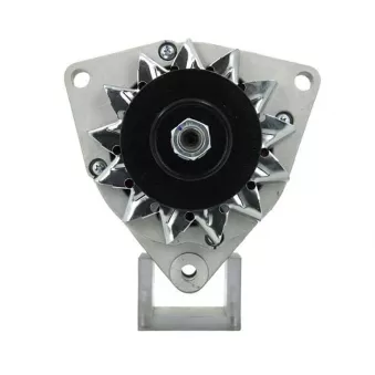 Alternateur BV PSH 556.001.035.010