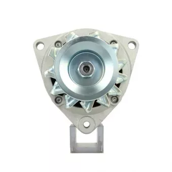 Alternateur BV PSH 556.001.035.311